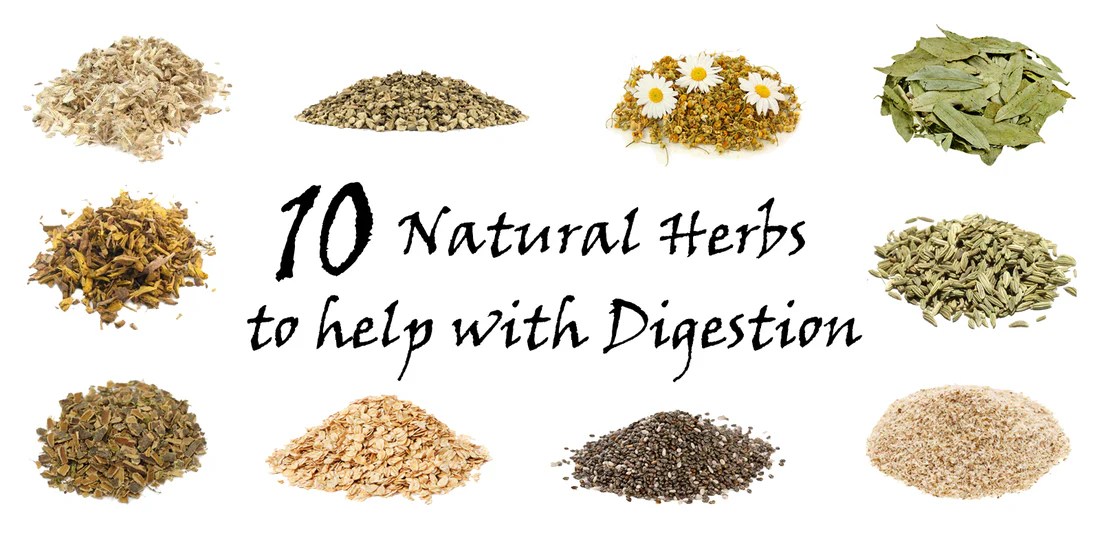 Herbs for improving digestion