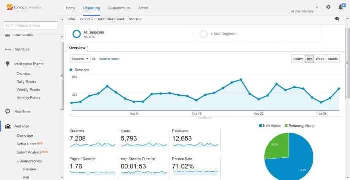 Google Analytics Guide